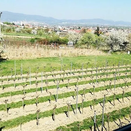 Penzion Ranc Senkvice 3* Nagysenkőc